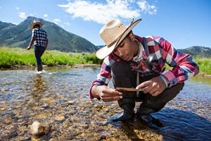 Centennial Valley, Montana. LEAF interns work with summer staff Sally Cathey doing pebble counts in Hell Roaring Creek at the Alaska. Sally and the interns with help from mentor Mike Pak measure 100 pebbles at each of 13 designated sites along the stream. This is one way to measure how the stream bed changes. The diversity of the bedrock is one indication of the health of the stream. They measure the “B” axis of the rock and measure rocks in an area of the stream where the water is moving more rapidly.