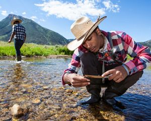 Centennial Valley, Montana. LEAF interns work with summer staff Sally Cathey doing pebble counts in Hell Roaring Creek at the Alaska. Sally and the interns with help from mentor Mike Pak measure 100 pebbles at each of 13 designated sites along the stream. This is one way to measure how the stream bed changes. The diversity of the bedrock is one indication of the health of the stream. They measure the “B” axis of the rock and measure rocks in an area of the stream where the water is moving more rapidly.