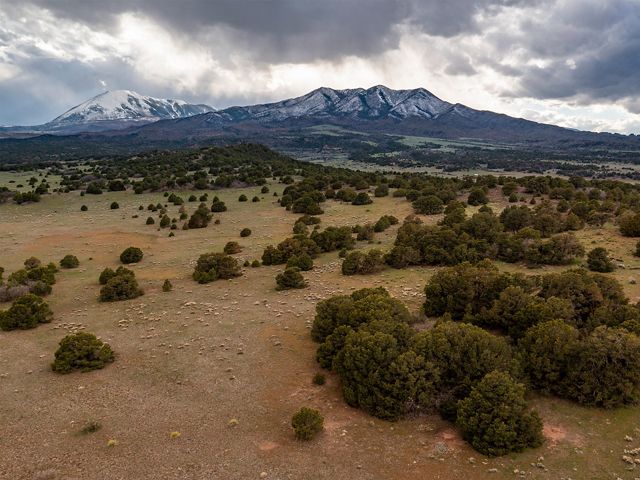 Vista del paisaje de Silver Mountain en Colorado. Los escasos arbustos dan paso a una densa vegetación y a una montaña al fondo.