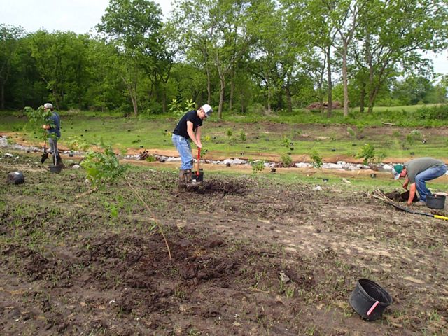 A small group of people plant trees along the restored streambank.