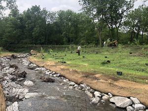 Two people plant small trees along a newly restored creek bank.