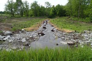 Flowing creek with gradual stream banks and green vegetation surrounding the floodplain.