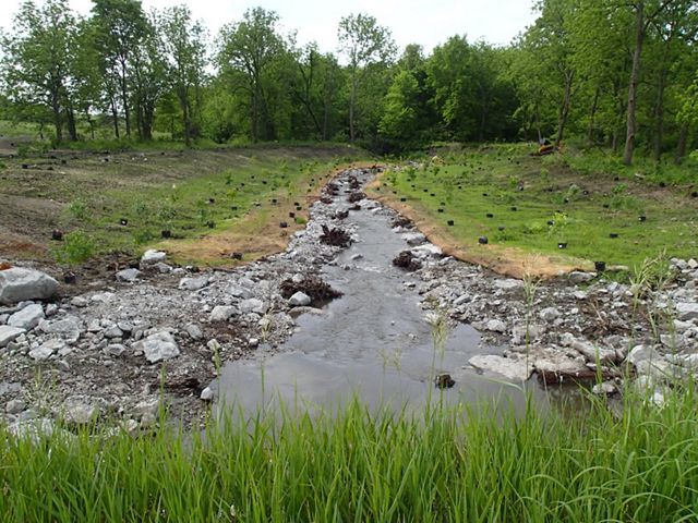 Flowing creek with gradual stream banks and green vegetation surrounding the floodplain.
