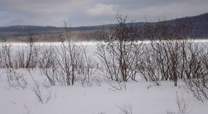 A snow-covered pond.