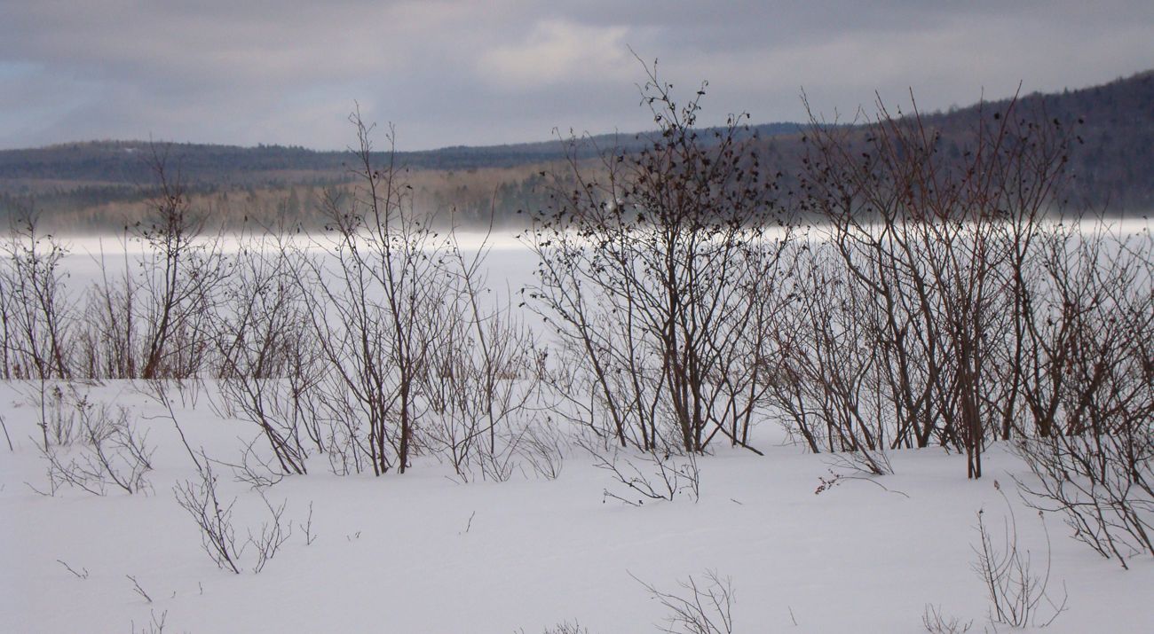 A snow-covered pond.