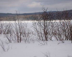 A snow-covered pond.