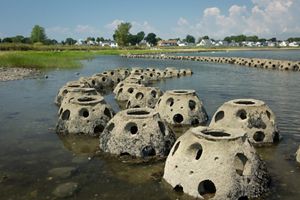 Large concrete balls with holes in them sit in curved rows along the shoreline, with marsh grass growing behind them.