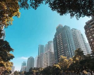 A view of skyline framed by trees in a park in Taipei.