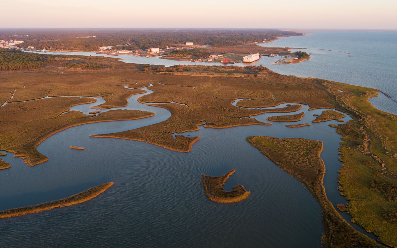 Aerial view of a large salt marsh with many channels winding through it, with the ocean on the right and forested landscape in the distance.