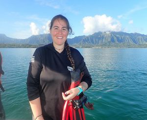 Illustration depicting a traditional ahupua‘a, a land division that extends from a mountaintop to the sea.