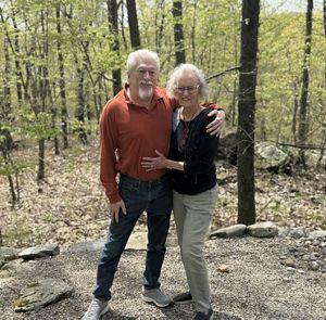 a yellow prothonotary warbler on a plant.