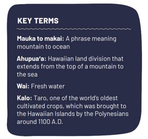 graphic with hawaiian key terms explained in english.