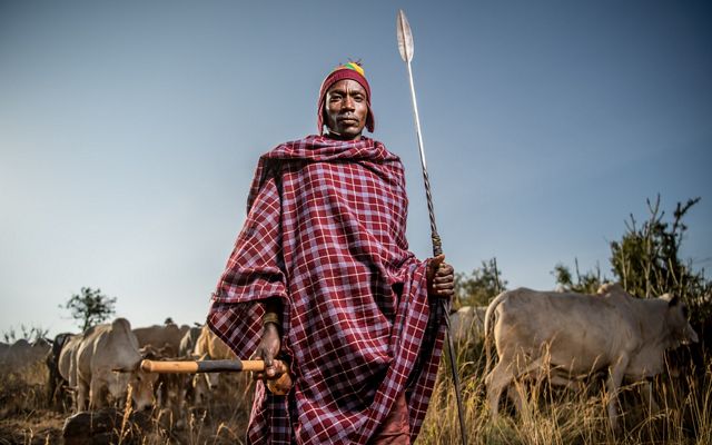 un hombre está de pie sosteniendo una lanza, con un campo de ganado detrás de él