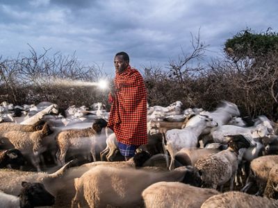 Isaak Kosgei looks into the darkness inside a boma that's protected by an alarm.