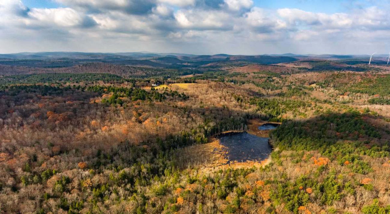 An aerial view of Connecticut reveals a vast forested landscape.