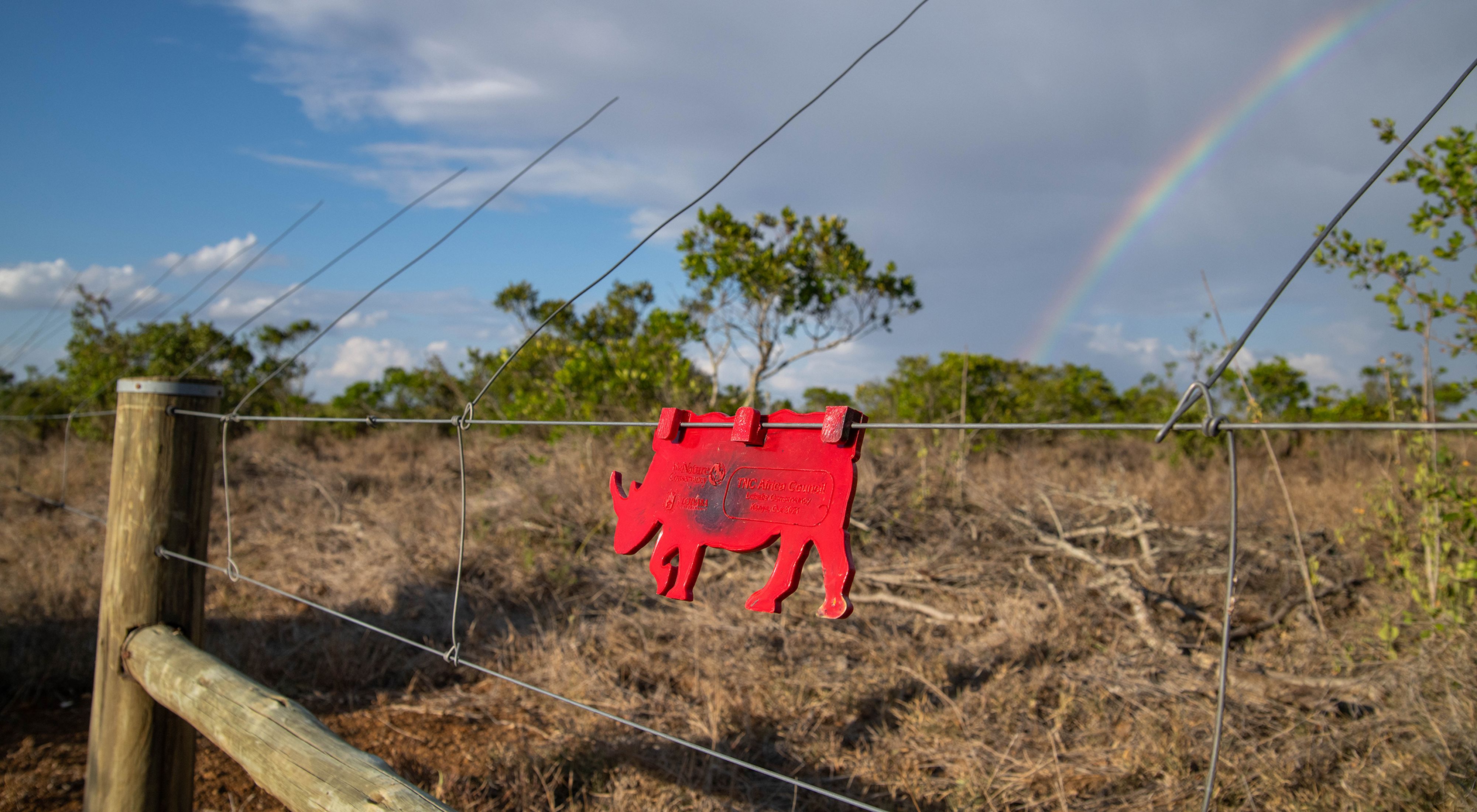 A flat cutout shaped like a rhino hangs from a wire fence
