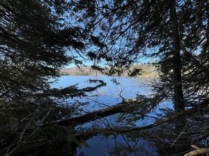 View from the shoreline looking out onto a large body of water.