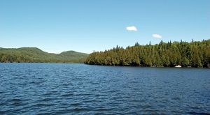 A bright blue pond surrounded by rich green pine forest.