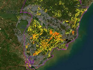 A map showing where longleaf stands in yellow, orange and gray.