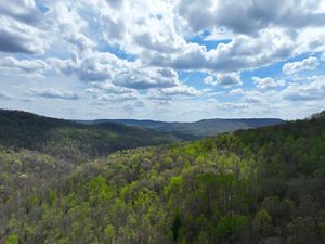 An aerial view of Lost Creek forest on a sunny day.