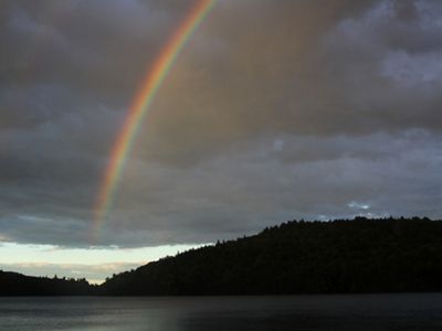 A rainbow over an island in a lake.