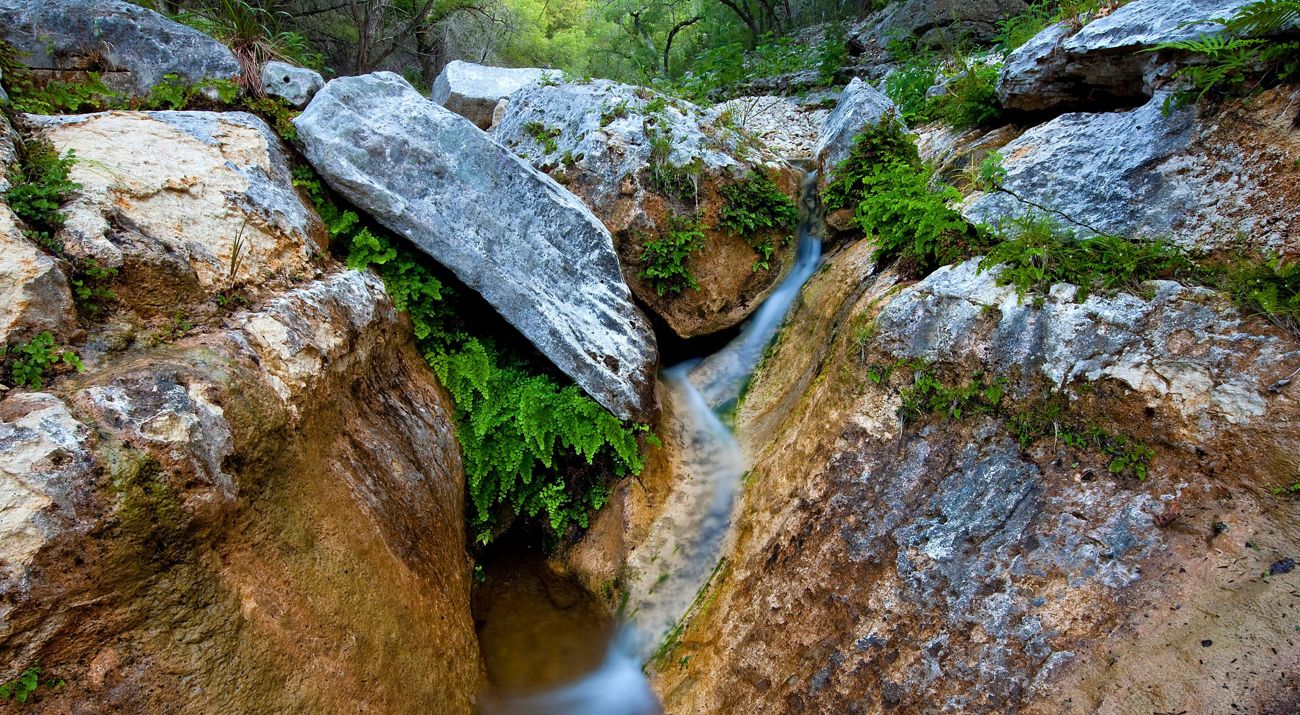 A thin stream of water flows between large blocks of rock with ferns in the cracks between the slabs.