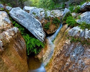 A thin stream of water flows between large blocks of rock with ferns in the cracks between the slabs.