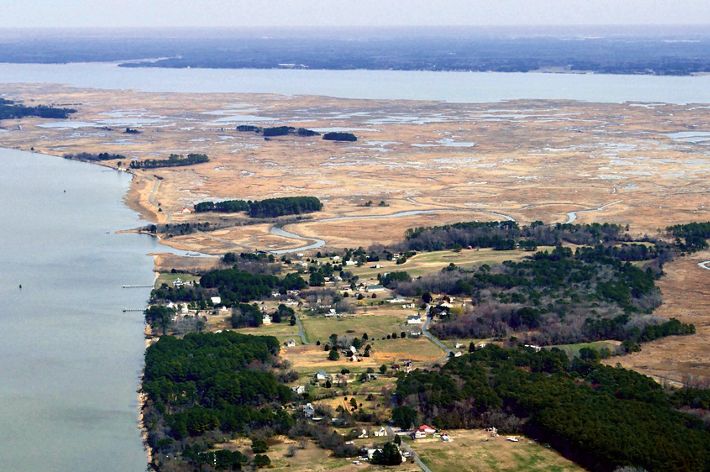 Aerial view looking down on a cluster of houses in a small coastal community. Open water faces the homes with marsh extending into the background.