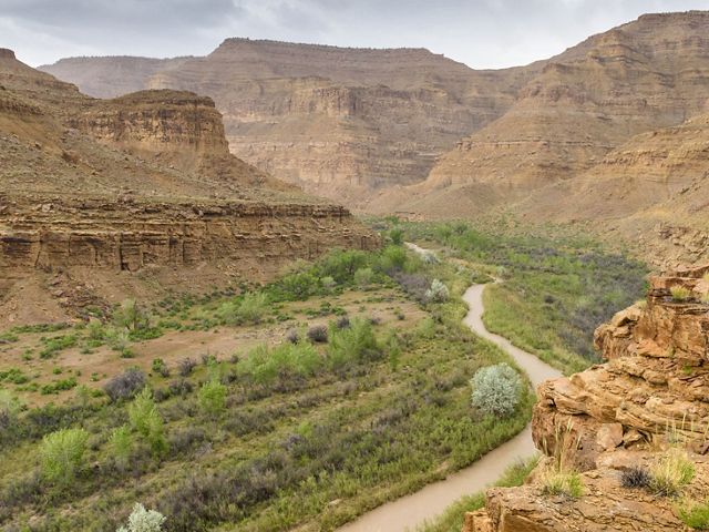 A river winds through a deep canyon lined with red cliffs. 
