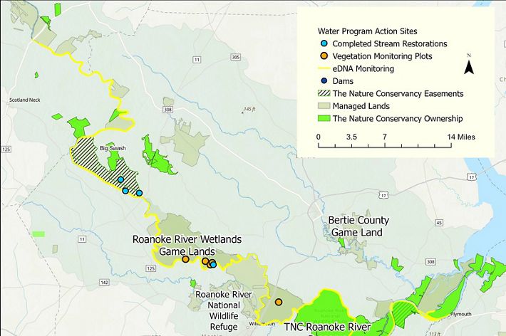 Map of the lower Roanoke River showing where different conservation activities take place.