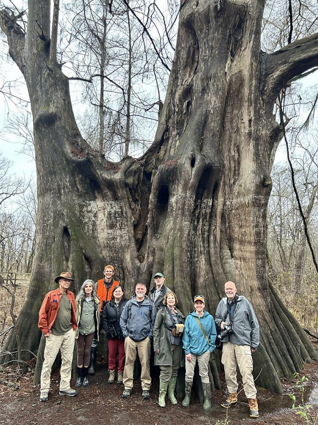 A group of people stand in front of a large tree.
