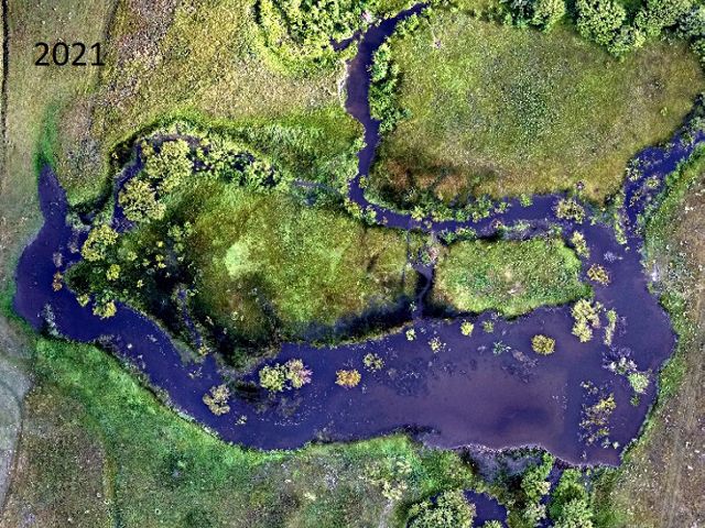 Aerial view in 2021 of beaver mimicry structures the Conservancy built in 2016 on Long Creek, Montana.