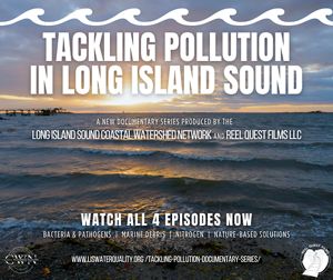 A sunset over the ocean serves as a backdrop for a docuseries announcement.