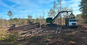 A truck is parked next to a pile of logs in a forest.