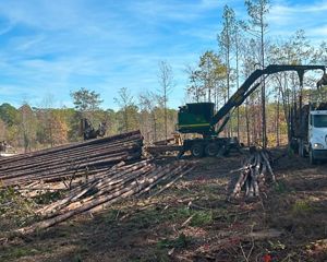 A truck is parked next to a pile of logs in a forest.