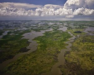 Aerial view of shallow waters flowing through surrounding wetlands.