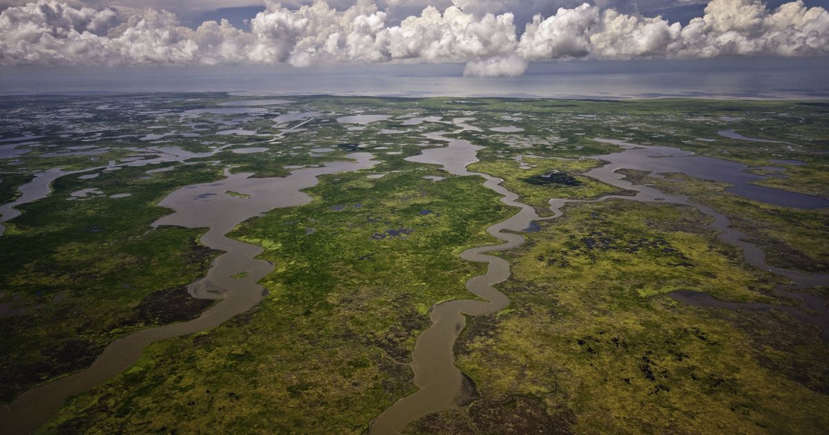 Marsh Island
