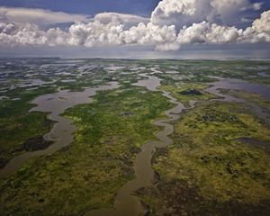 Fluffy clouds frame wetlands interspersed with green vegetation and slow moving waters.