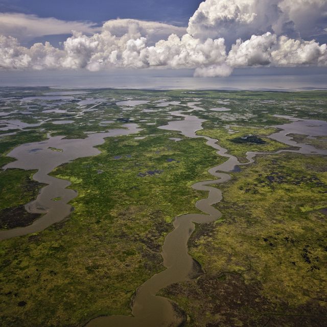 Aerial view of quiet waters flowing through green wetlands throughout a flat landscape.