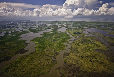 Aerial view of quiet waters flowing through green wetlands throughout a flat landscape.
