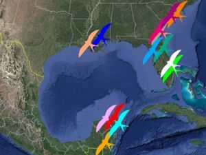 A highlights birds in different colors to share information about migration.