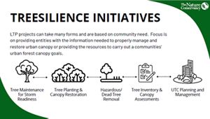 An infographic uses a tree and other icons to highlight benefits of the Louisiana Treesilience Program. 