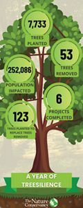 An infographic features numbers posted on a drawing of a tree.