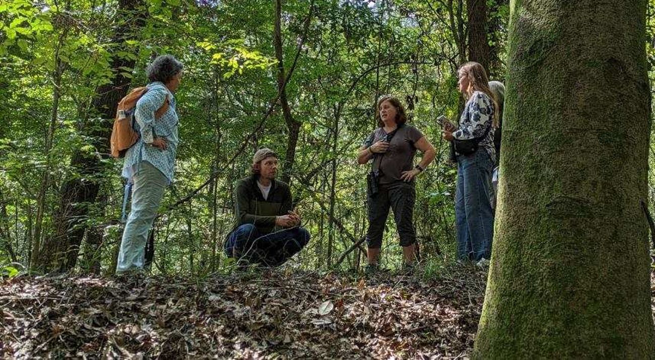 Four people gather to talk in the woods.
