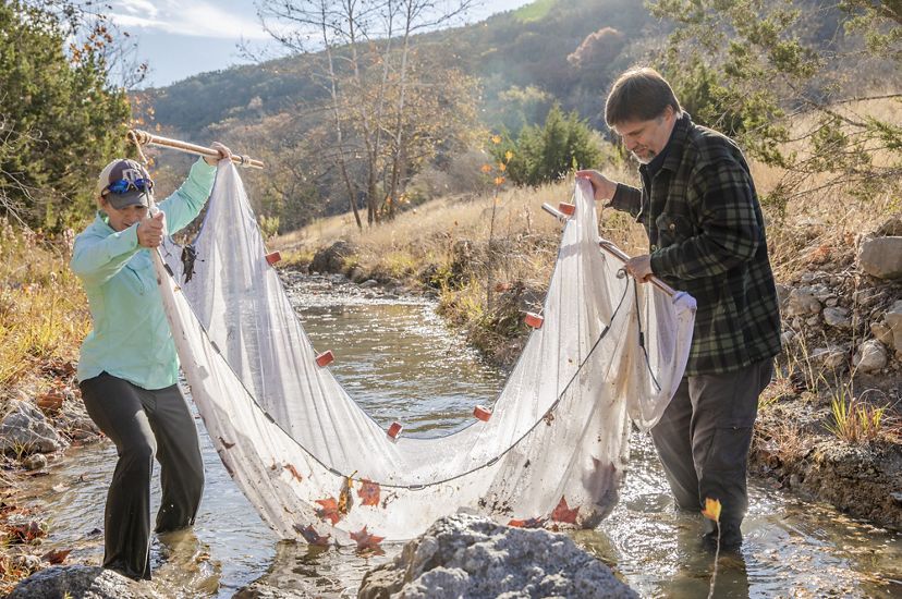 A woman and a man each hold the ends of a small net being dragged through a creek to conduct aquatic species surveys.