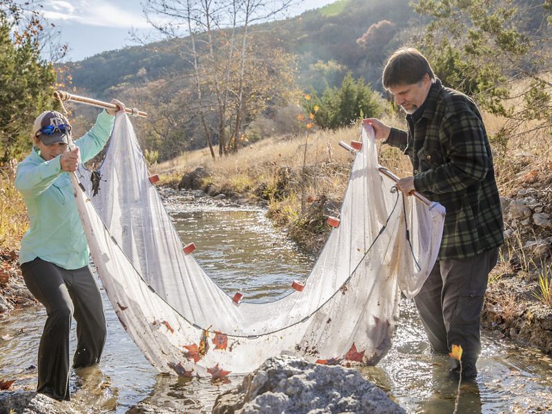 A woman and a man each hold the ends of a small net being dragged through a creek to conduct aquatic species surveys.