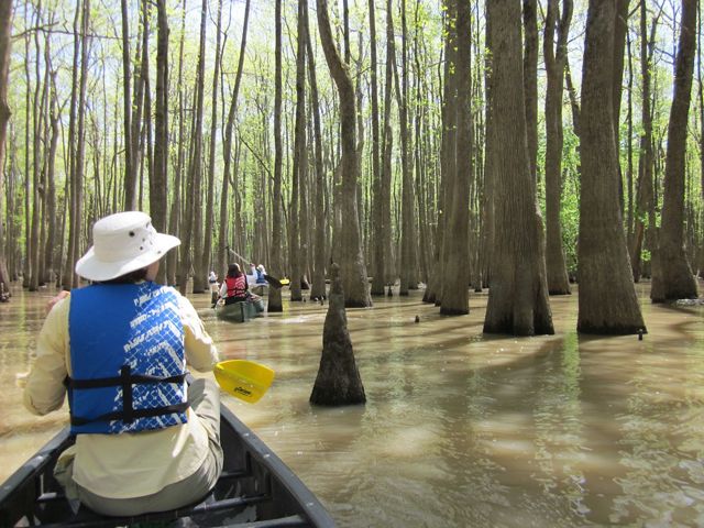 Big Woods Canoes