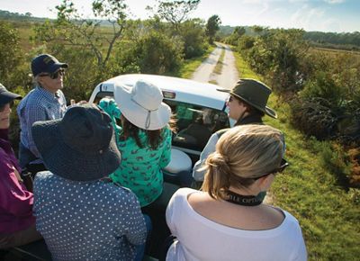 A group of six people wearing hats and sunglasses sit in an open-air truck bed, driving down a single-lane dirt road that’s surrounded by grasses and shrubs.