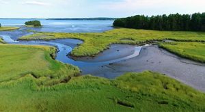 A tidal creek flowing through saltmarsh to a bay.