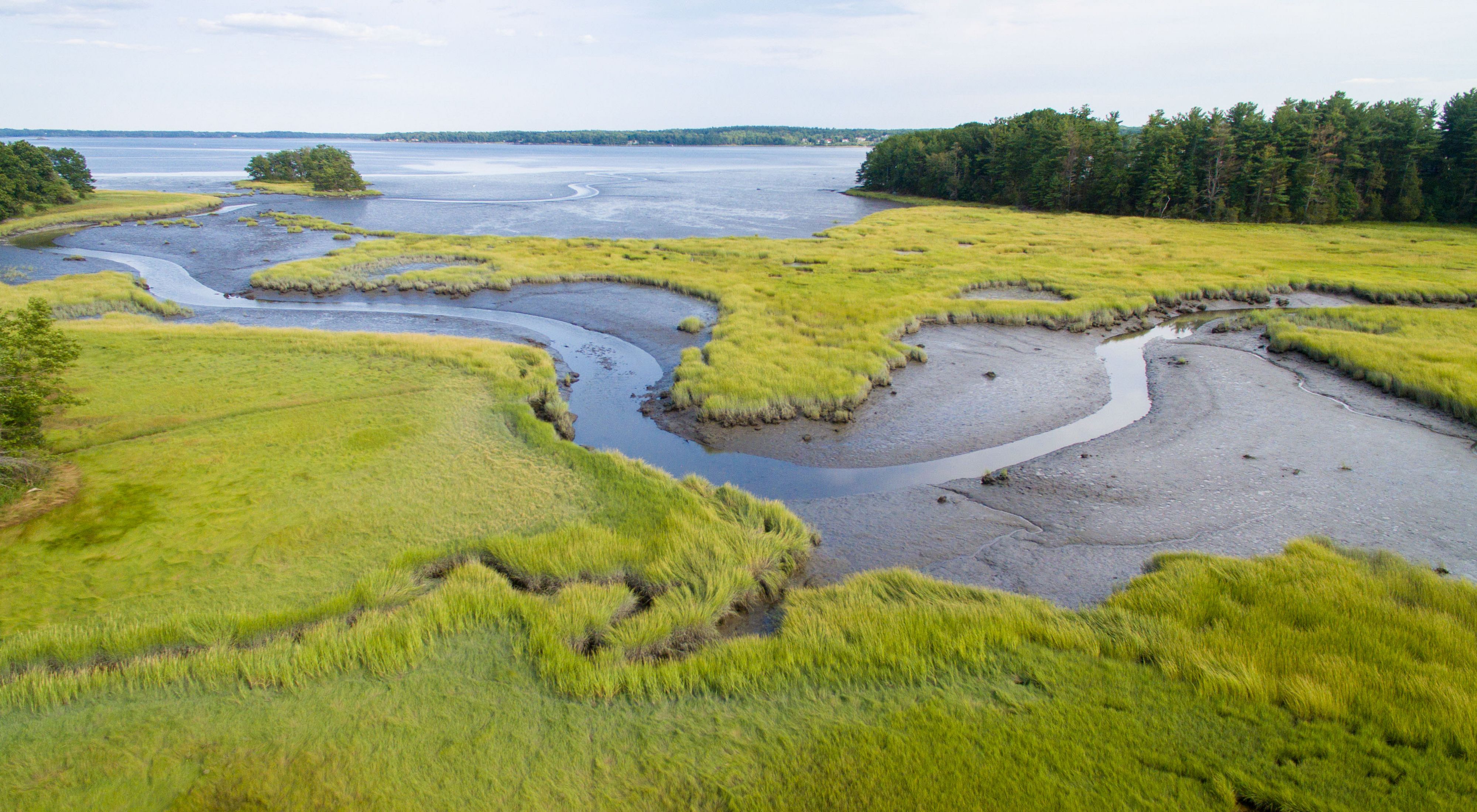 Aerial view of a salt marsh and stream.